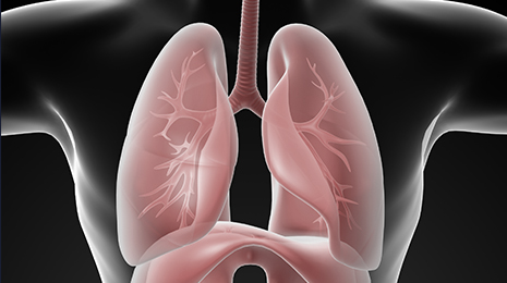 Respiratory Medicine